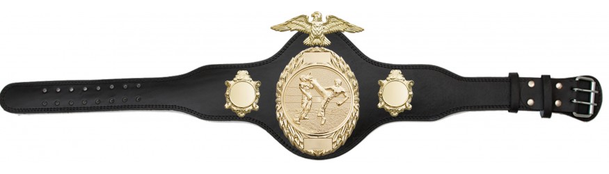 KICKBOXING CHAMPIONSHIP BELT - PLT288/G/KBOG-4 COLOURS KICKBOXING CHAMPIONSHIP BELT - PLT288/G/KBOG-4 COLOURS